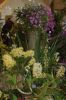 Orchideenausstellung-Bad-Salzuflen-2014-140302-DSC_0264.JPG