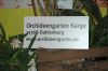 Orchideen-Gruene-Woche-Berlin-2017-170122-DSC_10391.jpg